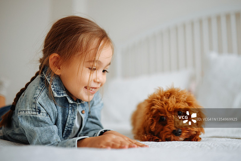 小女孩在床上和狗玩耍图片素材
