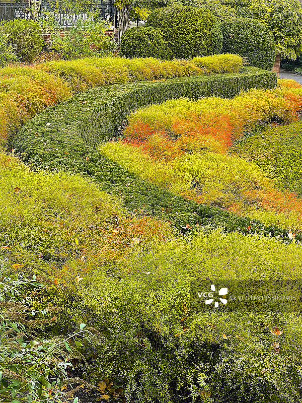 俯瞰纽约中央公园花园中弯曲的灌木图片素材