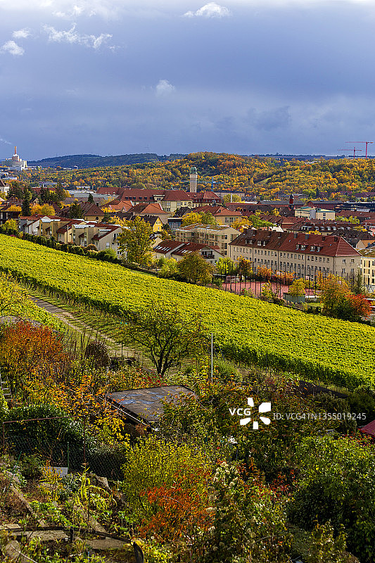德国巴伐利亚州维尔茨堡格伦布尔秋季葡萄园和城镇住宅图片素材