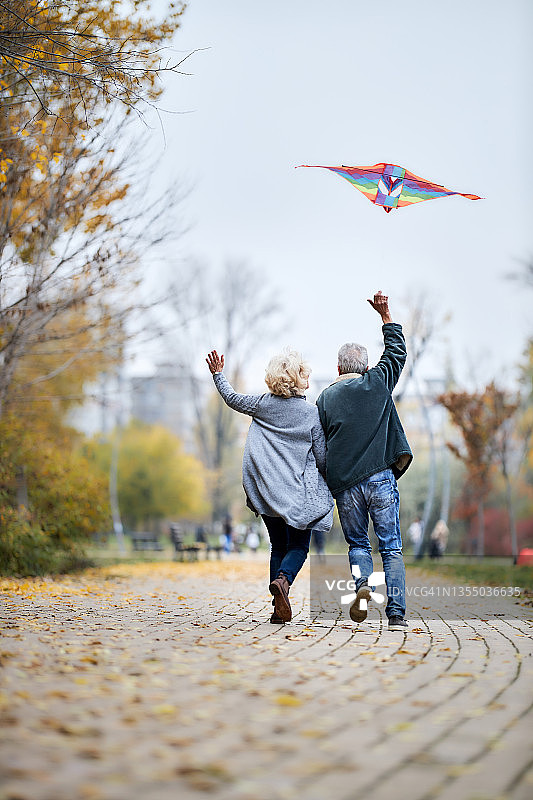 老年夫妇在公园里放风筝的背影图片素材