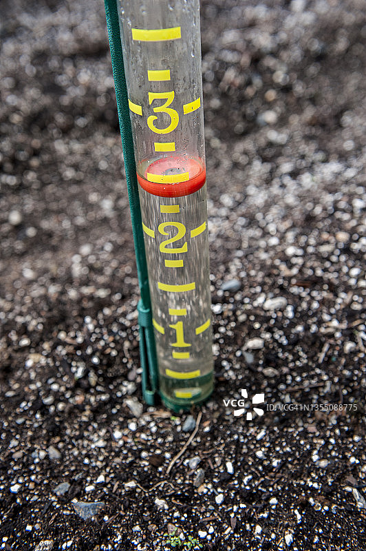 近距离拍摄：加拿大新斯科舍省哈利法克斯花园土壤中的雨量器图片素材