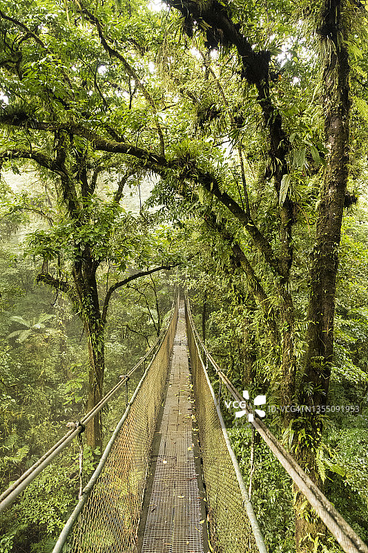 哥斯达黎加空中桥梁图片素材