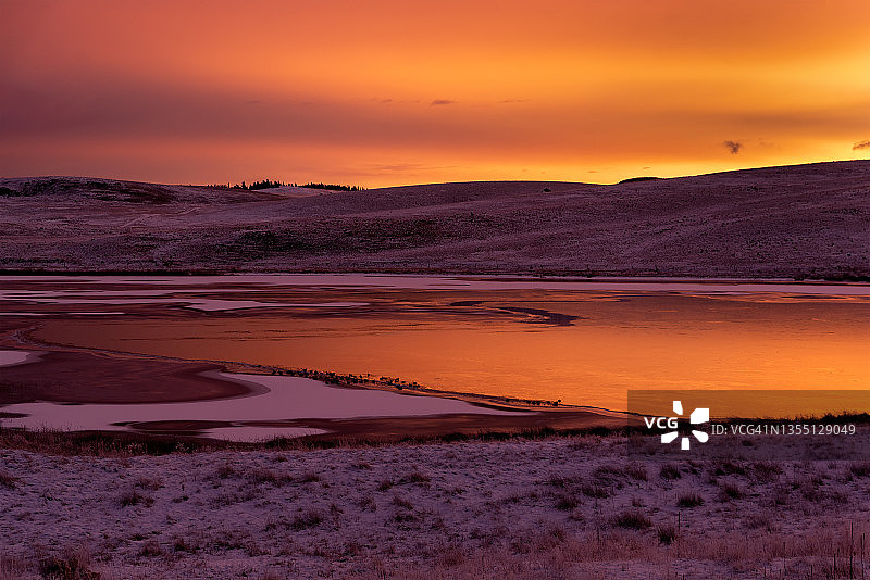 黎明时分湖边的鸟类图片素材