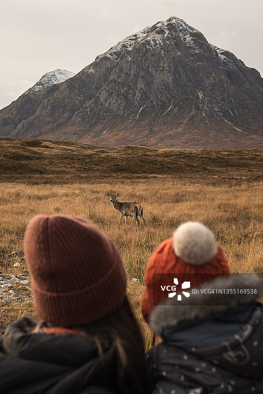 母女在苏格兰高地欣赏雄伟山脉和野生鹿图片素材