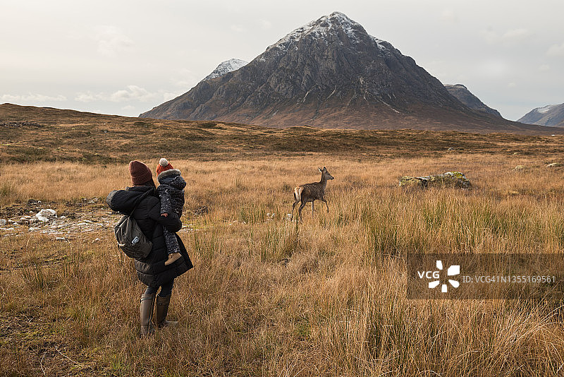 母女在苏格兰高地埃蒂夫峡谷的Buachaille Etive Mor山前接近一头野鹿图片素材