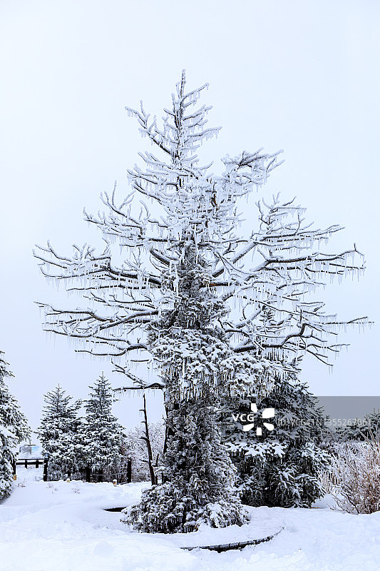 韩国平昌Balwangsan山冬季景观图片素材