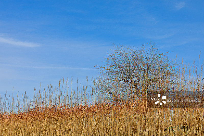 韩国清州大清湖风光图片素材