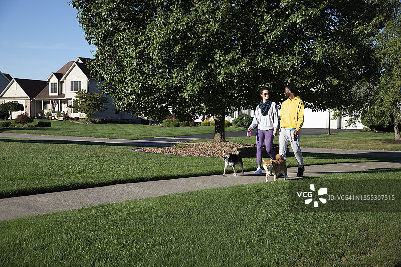 年轻夫妇遛狗图片素材