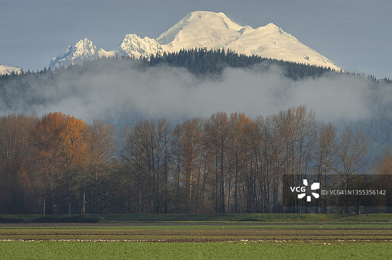 从斯卡吉特河谷看到的华盛顿州贝克山图片素材
