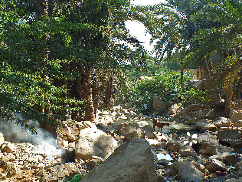 春季流水图片素材