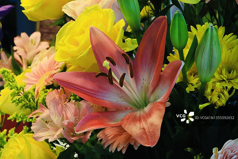 盛开的彩色时令鲜花精品店图片素材