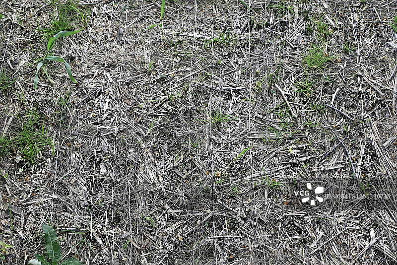 水土保持用网格图片素材