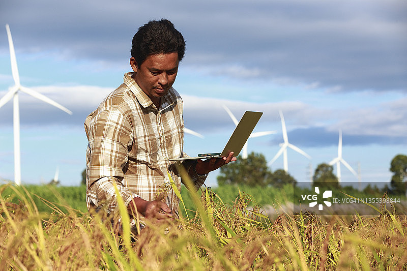 农民使用笔记本电脑在有机稻田中进行检查或质量控制，关注食品质量图片素材