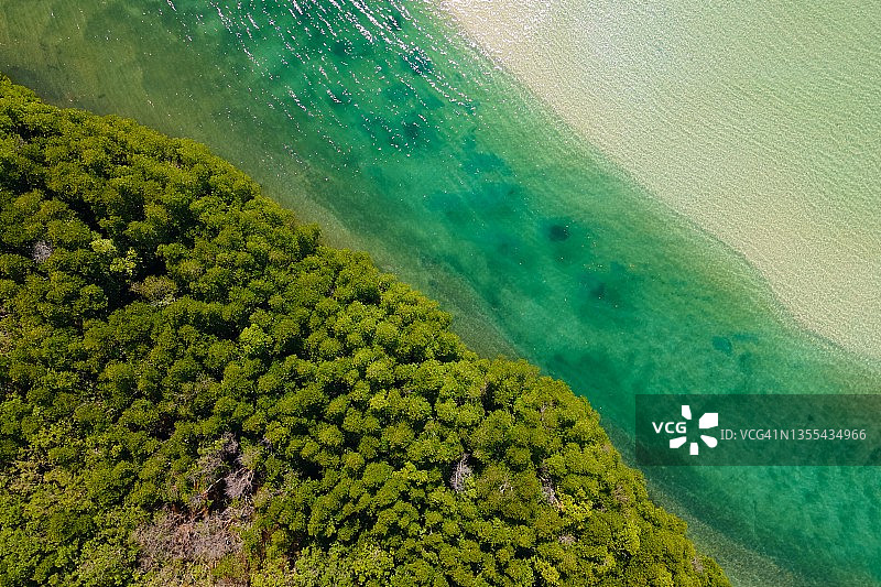 沽岛清澈海水下的河岸红树林白色沙滩航拍背景图片素材