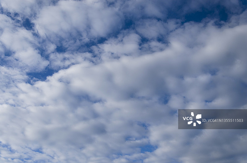 蓝天上的层状高积云图片素材