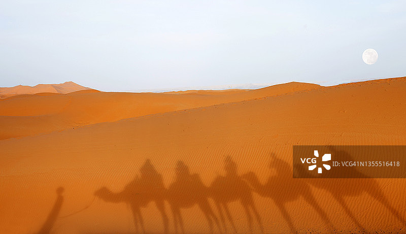 骆驼队与游客剪影图片素材