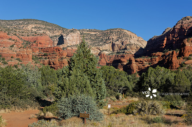 科科尼诺国家森林公园风光图片素材