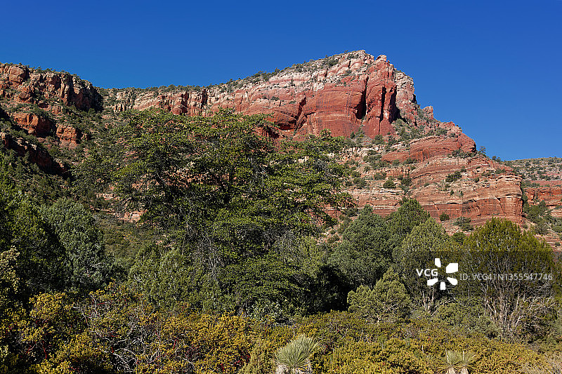 重归山林图片素材