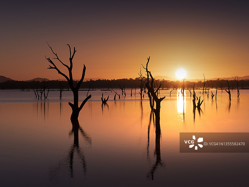 格兰屏国家公园，维多利亚州西部地区，澳大利亚，费恩斯湖黎明时分，水下老树的剪影图片素材