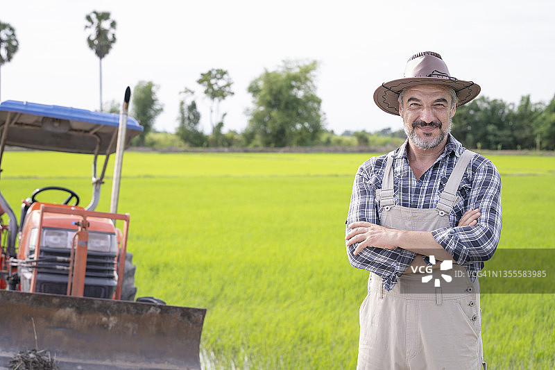 稻田里双手交叉的中年男农民图片素材