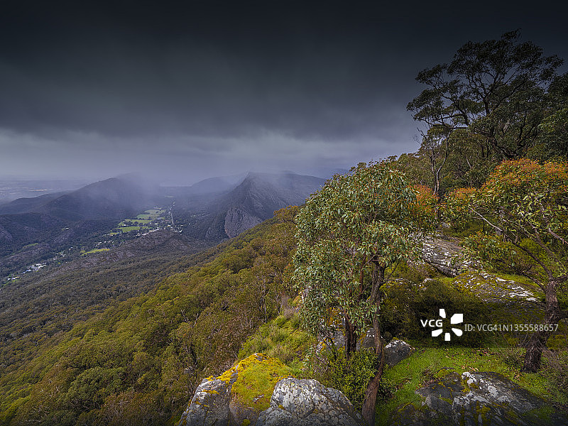 澳大利亚维多利亚州格兰屏国家公园的晚春雨景图片素材