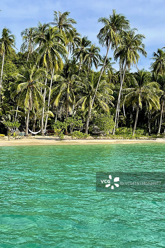 阁骨岛（沽岛）椰林树影下的碧蓝海水美景，泰国达叻府图片素材