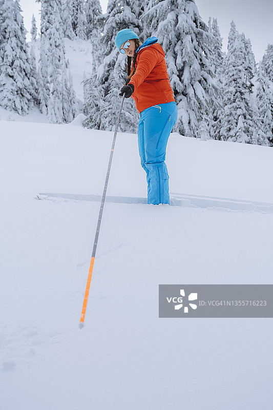 滑雪：女滑雪者组装雪崩探测器以评估雪况图片素材