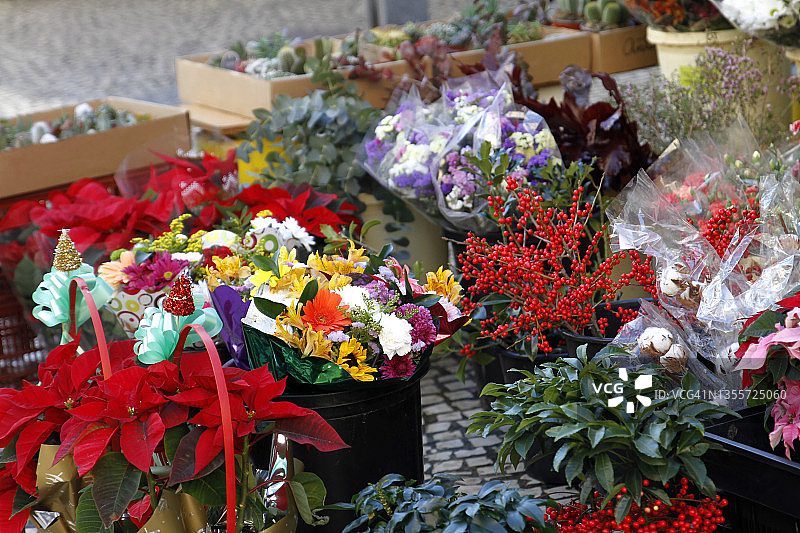 市场上的鲜花图片素材