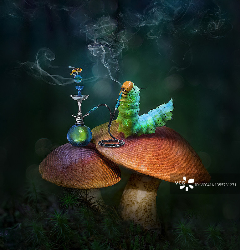 《爱丽丝梦游仙境》蓝色的毛毛虫在蘑菇上图片素材