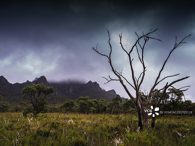 澳大利亚维多利亚州格兰屏国家公园的春末雨云图片素材