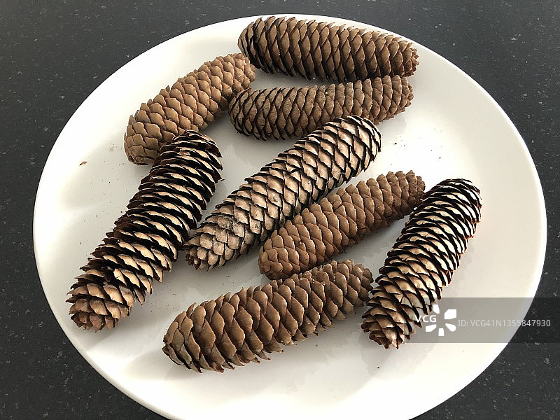 白色盘子里七个针叶树球果的特写图片素材