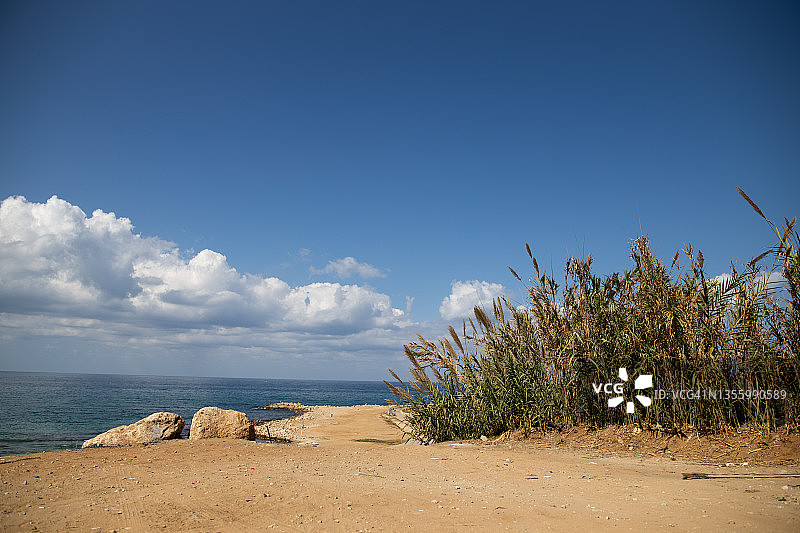 沙地、海景、芦苇和多云的天空图片素材