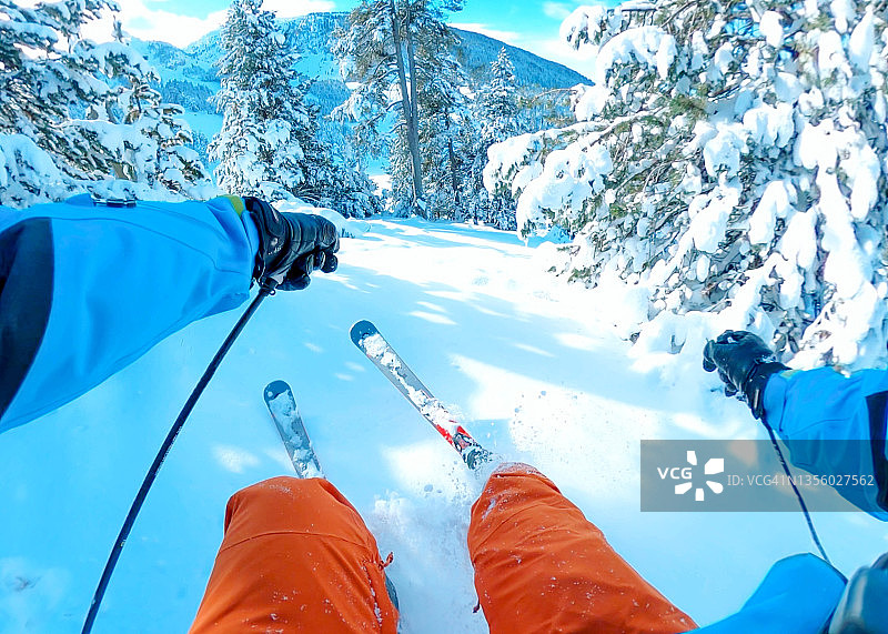 在加泰罗尼亚比利牛斯山脉的树林间滑雪（西班牙）图片素材