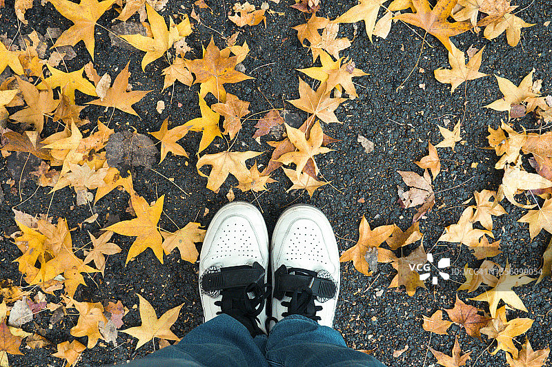 秋天来了图片素材