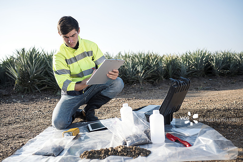 农业土壤检测，测量pH值和EC值。农业工程师检查菠萝田的土壤质量。图片素材
