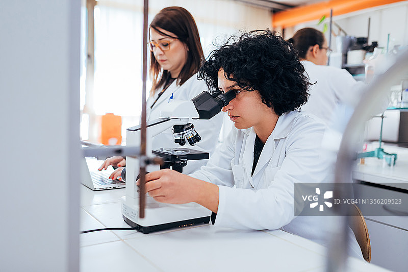 专注的女科学家在实验室测试微生物图片素材