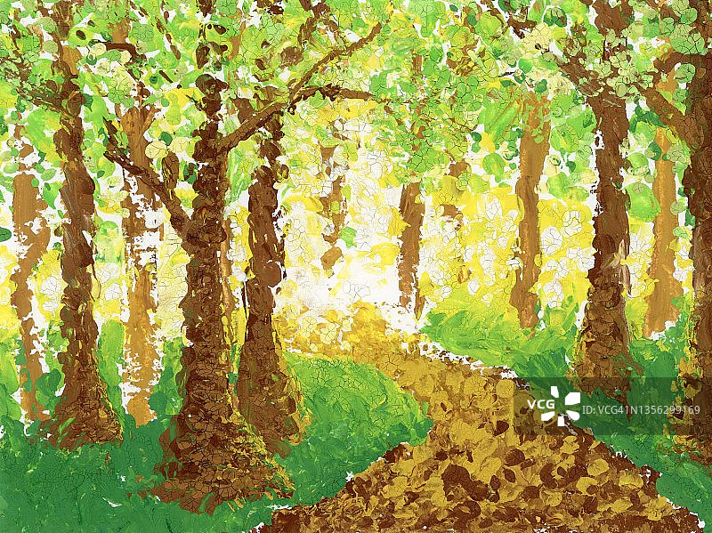 公园里的树图片素材