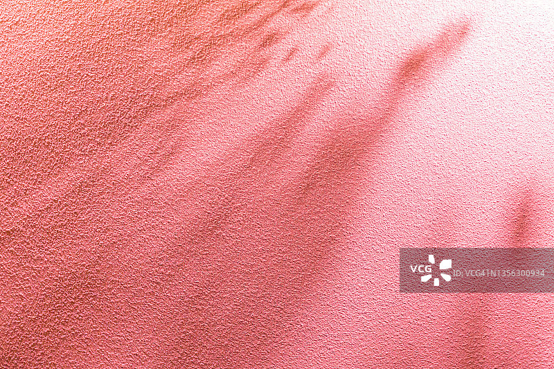 粉色混凝土墙上的阴影背景图片素材