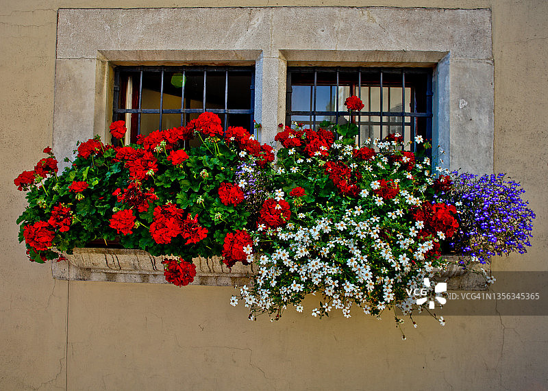 鲜花点缀的波兰窗户图片素材