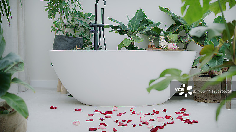 浴室里郁郁葱葱的绿色花园中的家庭水疗，地板上有玫瑰花瓣图片素材