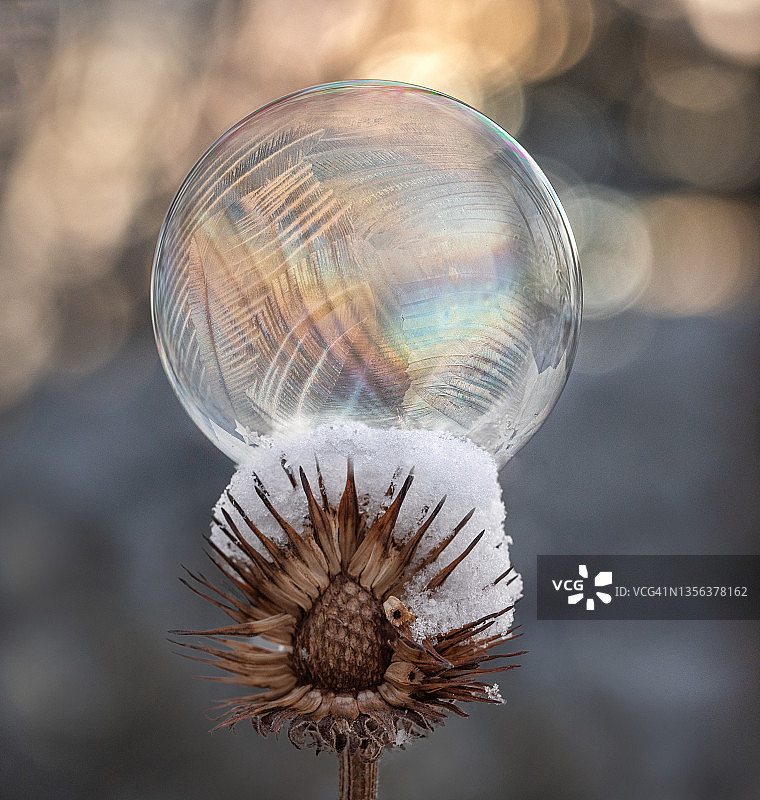 冰冻的肥皂泡图片素材