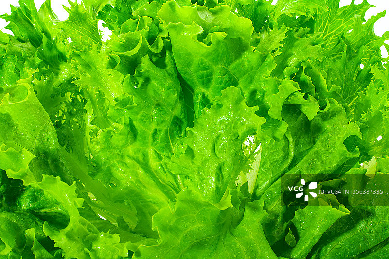 绿色新鲜沙拉特写，有机纯素食品背景图片素材