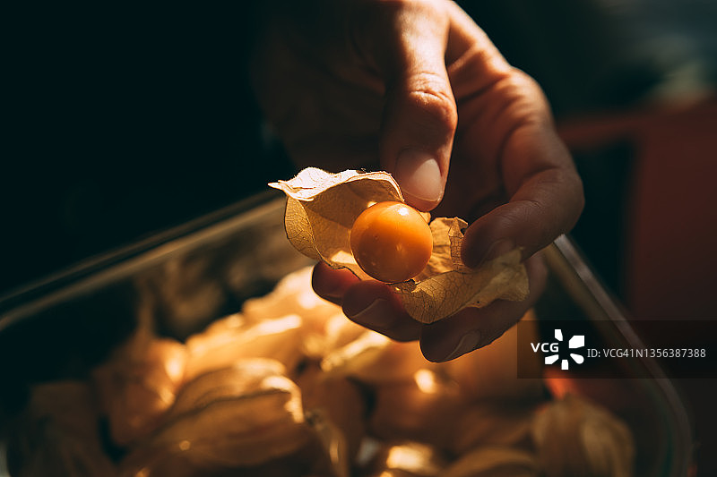 特写：女人手拿灯笼果图片素材