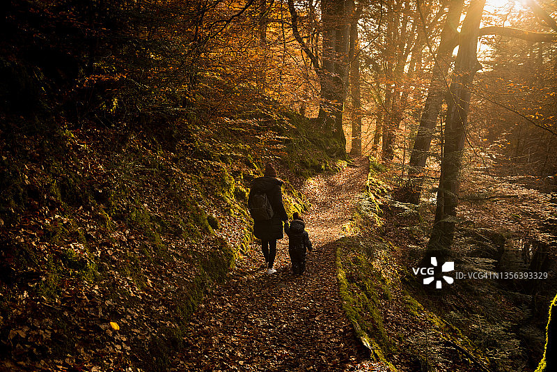 母亲和女儿在苏格兰高地森林小路上手牵手散步图片素材