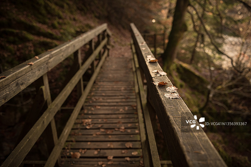 英国苏格兰高地珀斯郡基利克兰基林地中，部分被棕色秋叶覆盖的空旧木桥图片素材