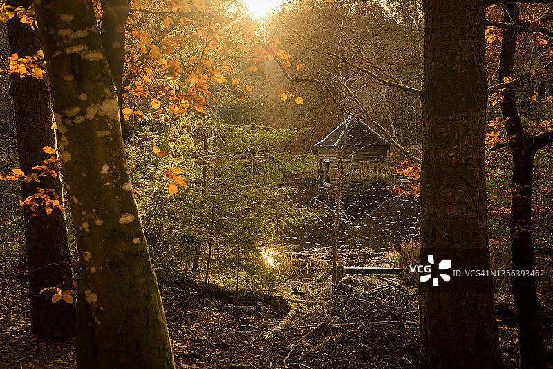 英国苏格兰高地珀斯郡湖边林地中的小屋图片素材