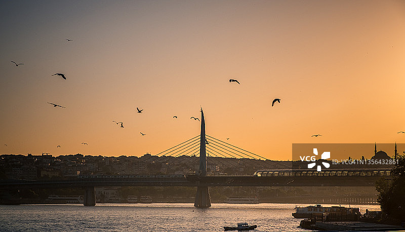 日落时分伊斯坦布尔的土耳其轮船和清真寺尖塔的剪影，博斯普鲁斯海峡上的海鸥图片素材