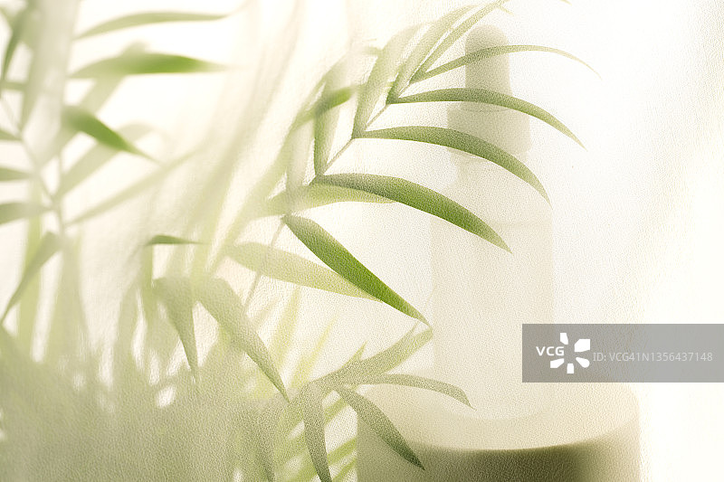 棕榈树叶和面部精华的抽象轮廓阴影图片素材