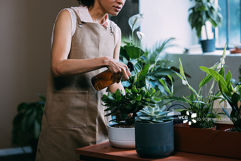 一位不知名的女园丁在她的工作室里给植物浇水图片素材