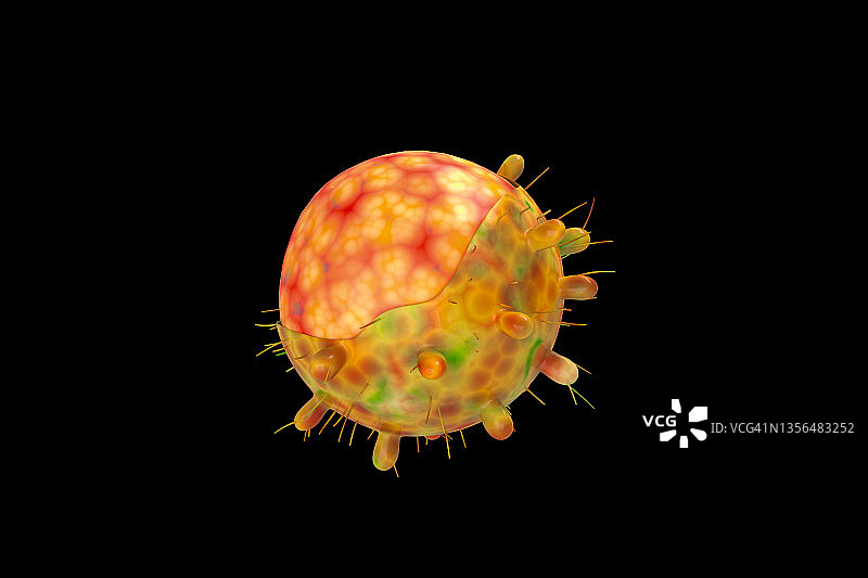 新型冠状病毒奥密克戎变异株概念图图片素材